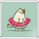 Пятничный Котик №1