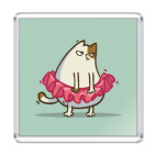 Пятничный Котик №1