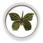 Настенные часы (без цифр) ЗОЛОТАЯ БАБОЧКА