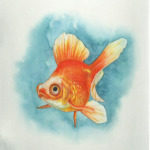 Золотая рыбка