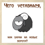 Baran
