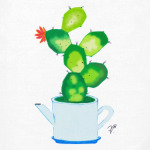 Полив не требуется