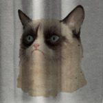 Grumpy Cat / Сердитый Кот