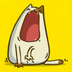 Зевокот — Пятничный Котик №28