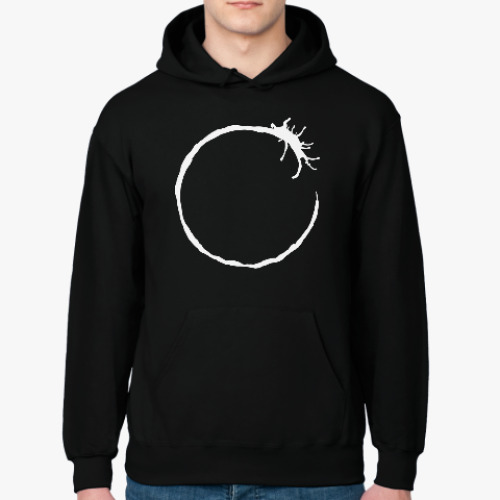 Толстовка худи с принтом Прибытие. Язык гептаподов (Heptapod language)