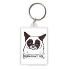 Grumpy cat