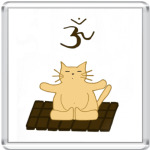 Медитирующий кот