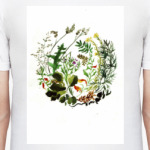 Мирок растений