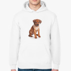 Толстовка худи