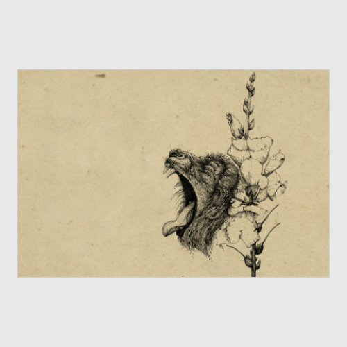 Постер с принтом Львиный зев