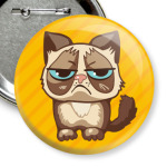 Угрюмый кот Тард - Grumpy Cat