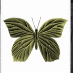 ЗОЛОТАЯ БАБОЧКА