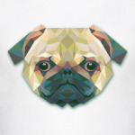 Призма мопс