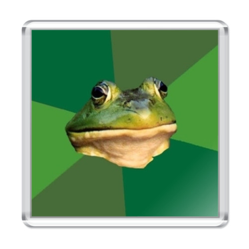 Магнит с принтом  ЖАБА ХОЛОСТЯК