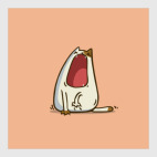 Зевокот — Пятничный Котик №28