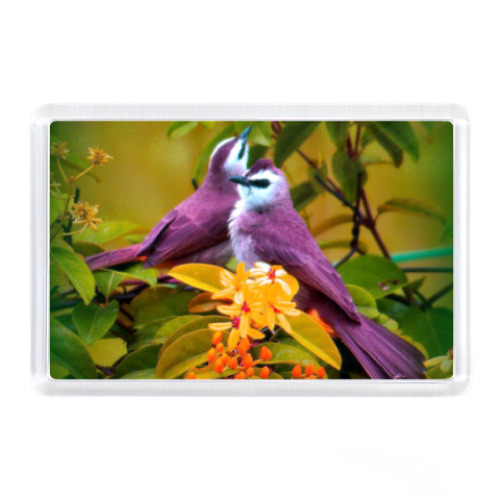 Магнит Птицы