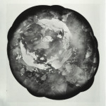 Черно белая роза