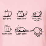 Песня Шелдона про котенка