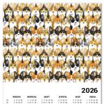 Много корги