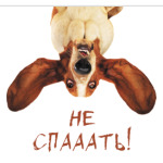 Собака бодрости