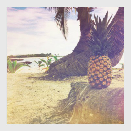 Постер с принтом Ананасы