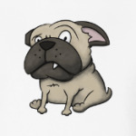 grumpy dog