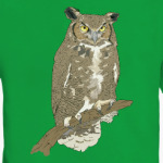 Сова, совушка, мудрые в городе