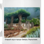 Старый сад в городе Синтра