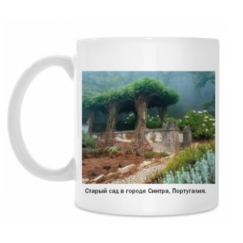 Кружка с принтом Старый сад в городе Синтра