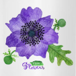 Для любителей цветов