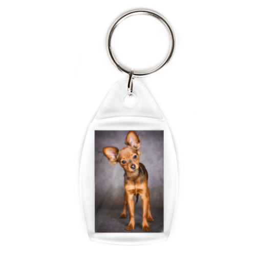 Брелок с принтом Щенок