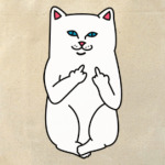 Kitty with fuck