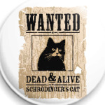 Розыск - кот Шредингера