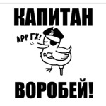  'Капитан воробей!'