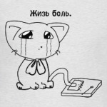 Котик жизь боль