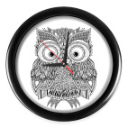 Лупоглазая совушка