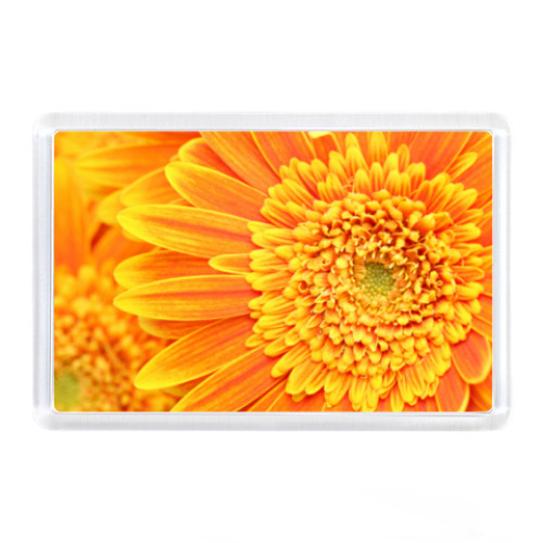 Магнит Цветок