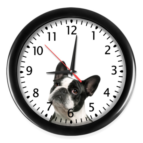 Настенные часы с принтом Буль