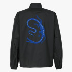 Ветровка без капюшона