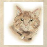 Котяра