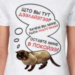 Странный кот