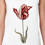 The Flower