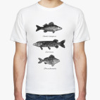 Коллекция Рыб