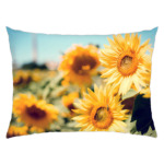 запах весны