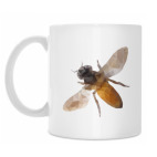 Кружка 330 мл