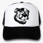 Кепки Trucker