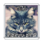 Ты покормил кота?