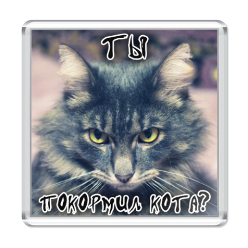 Магнит Ты покормил кота?
