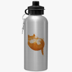 Спортивная бутылка