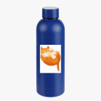 Термобутылка